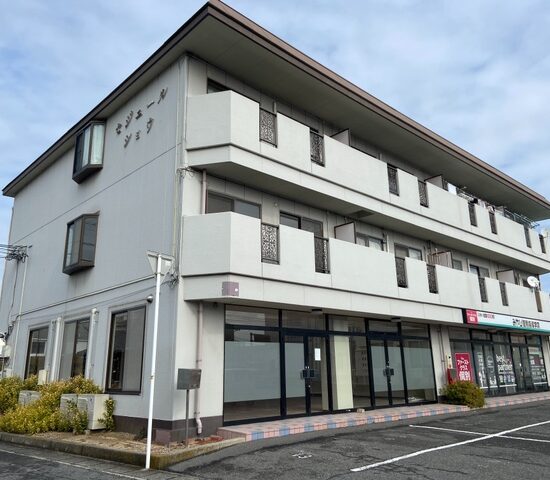 セジュールショウ   305